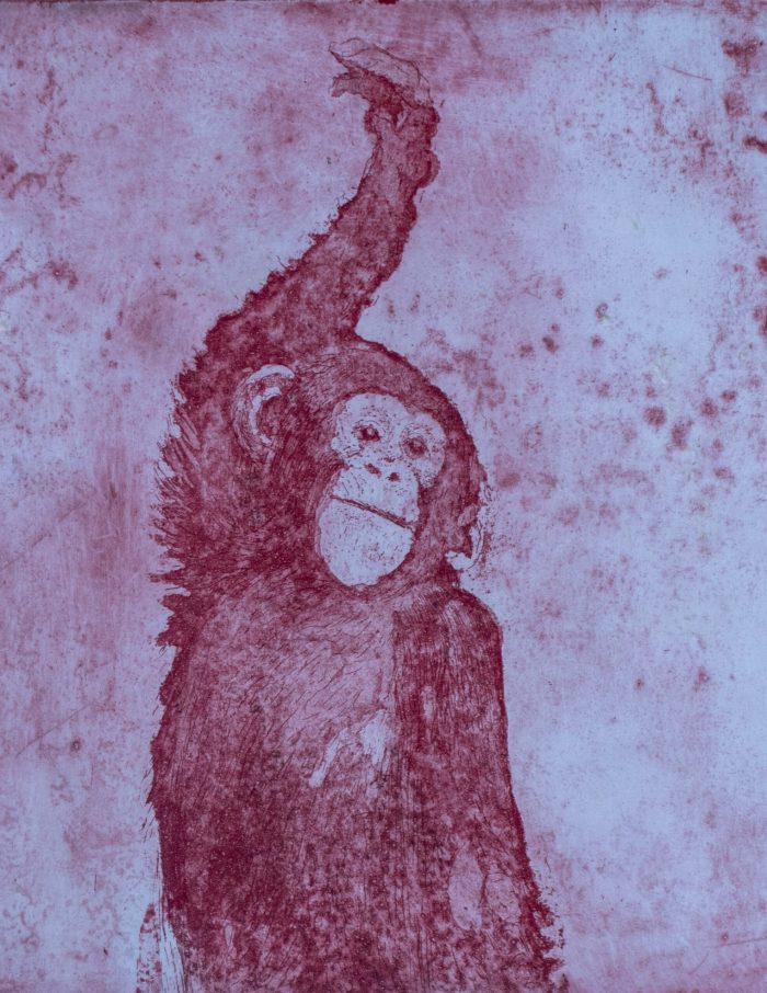 chimp_printmaking